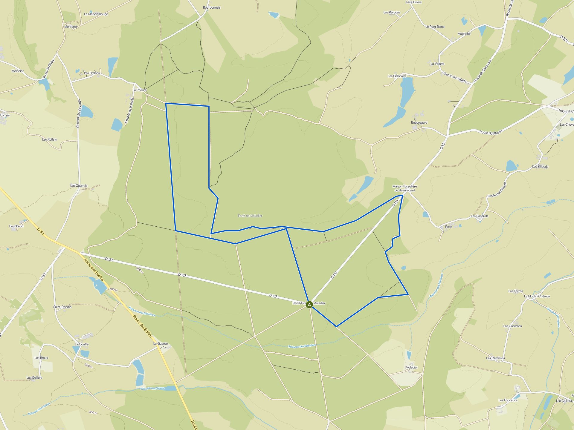 Les plus belles promenades et randonnées autour de la Forêt De Moladier ...